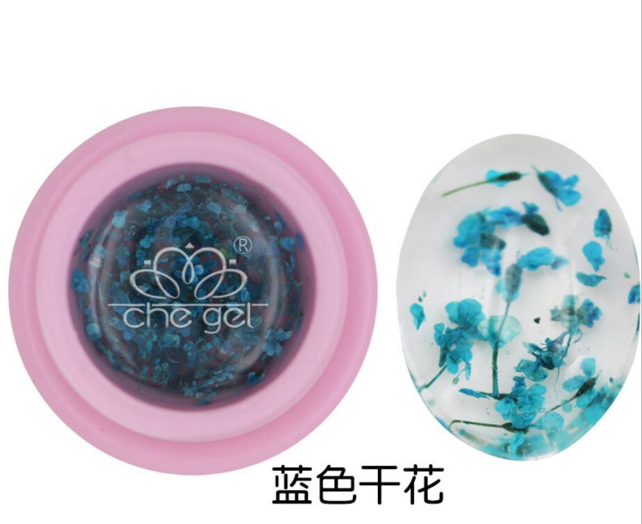 Floraland Dried Flower Fairy Nail Gel |  Gadgets Creative