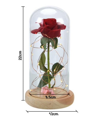 Rose Flower In Glass (LED Light)